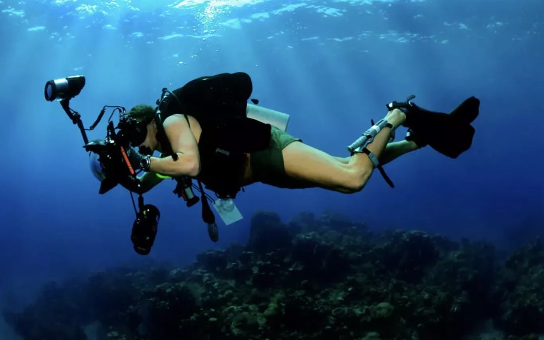 El campeonato de Canarias de Fotografía submarina será en Caleta de fuste
