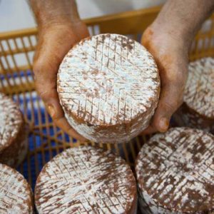 Queso en las manos de un artesano