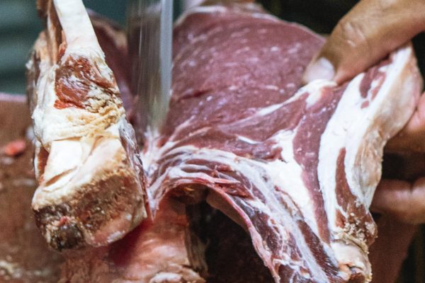 Trozo de carne