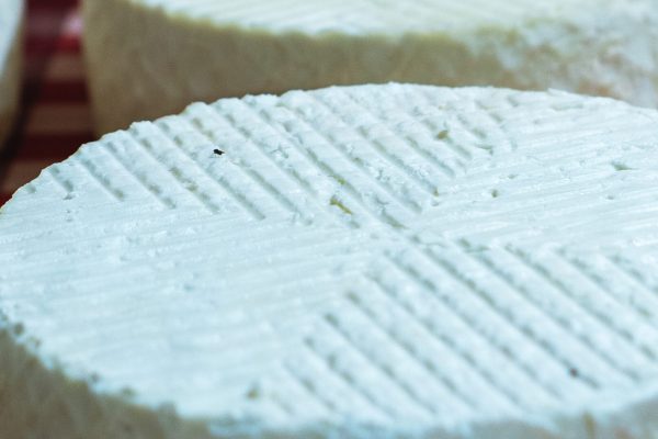 Queso blanco